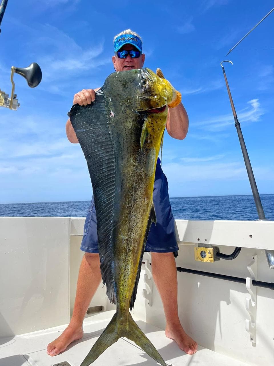 Mahi Mahi